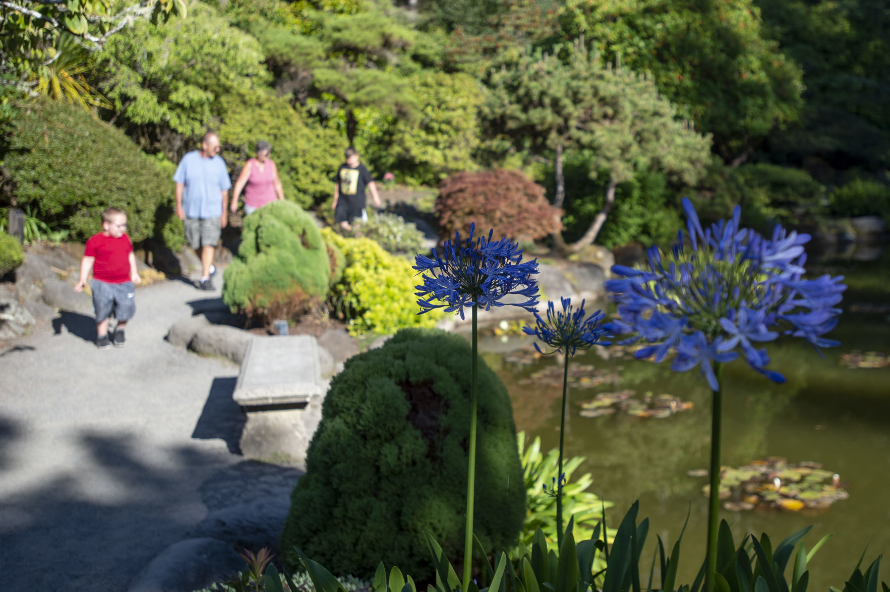 Shore Acres Gardens